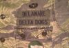 Delaware delta dogs uniform patches