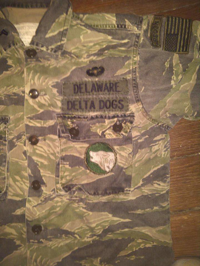 Delaware Delta Dogs patch
