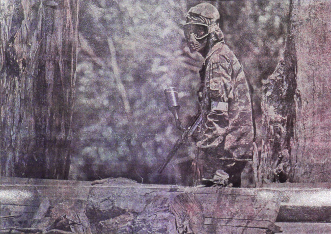 Vallejo Times Herald