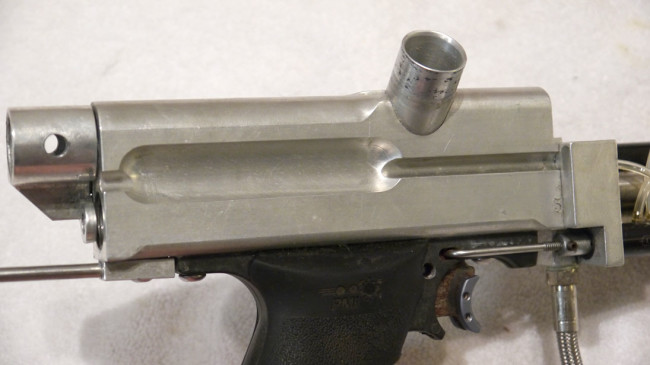 close up right side classic sfl style mini cocker