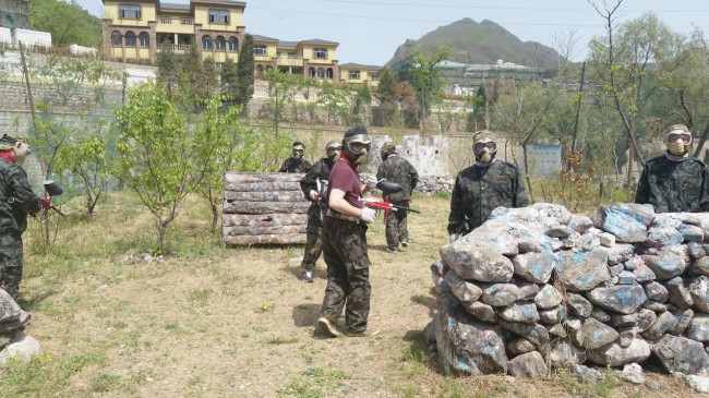 entering the cs field