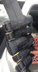 Lori Wilcox Harness, back view