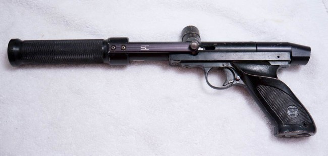 Direct feed modified Nelspot 007