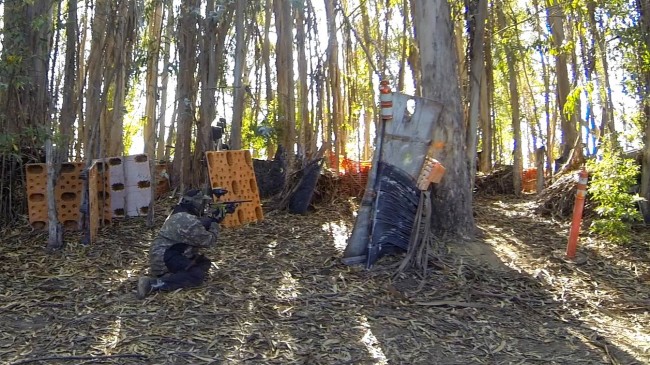 Gilly crouched on lower course.