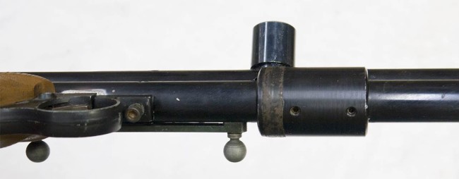 Underside view of the eagle