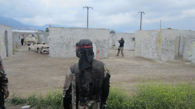 Sonny watches games at Jungle in May 2015.