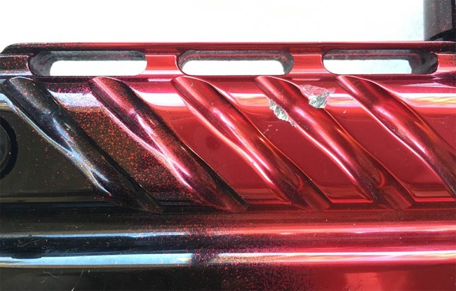 Close up of damage on gills of Minicocker.